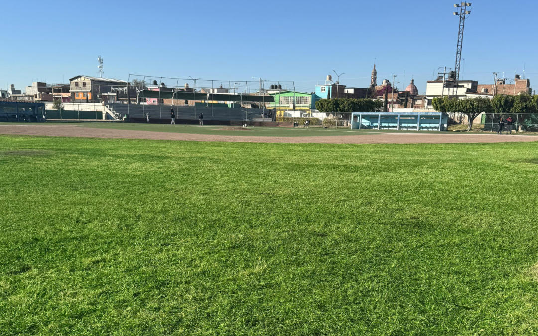 Entra campo de béisbol en fase de mantenimiento