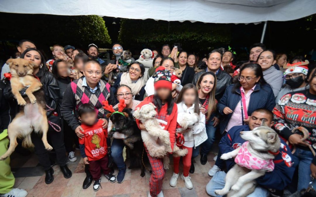¡Qué caminata tan perrona! Celebran rescatistas y animalistas el festejo de lomitos navideños; ¡participó el ‘lomito del puente’!