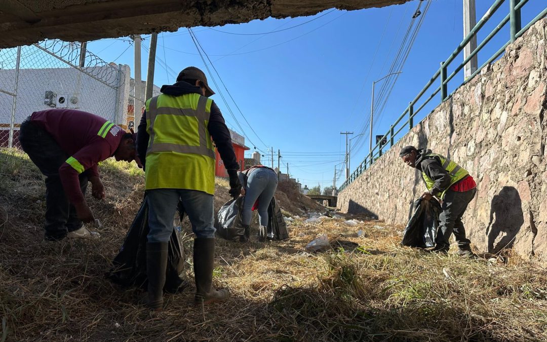 Retiran más de media tonelada de residuos del arroyo de la colonia Progreso
