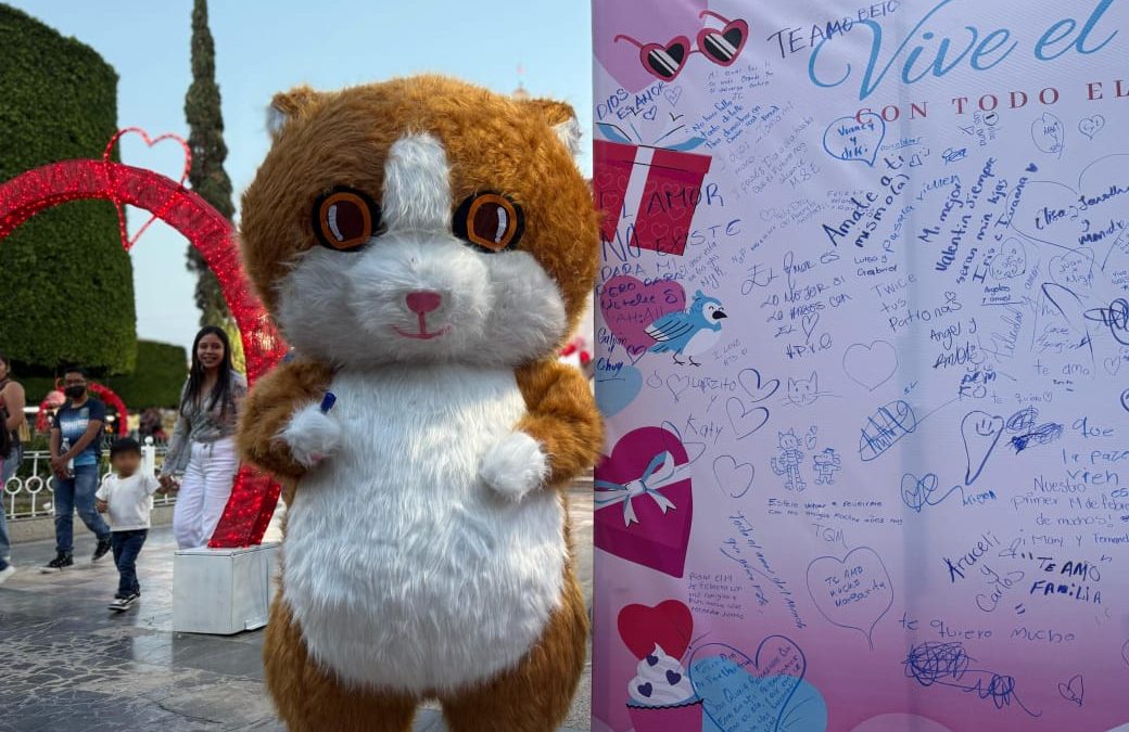 Plasman mensajes fraternos y motivacionales en las ‘mamparas del amor’