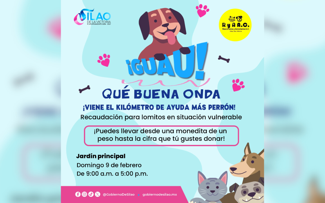 Realizarán kilómetro de ayuda perrona a favor de lomitos en situación de calle