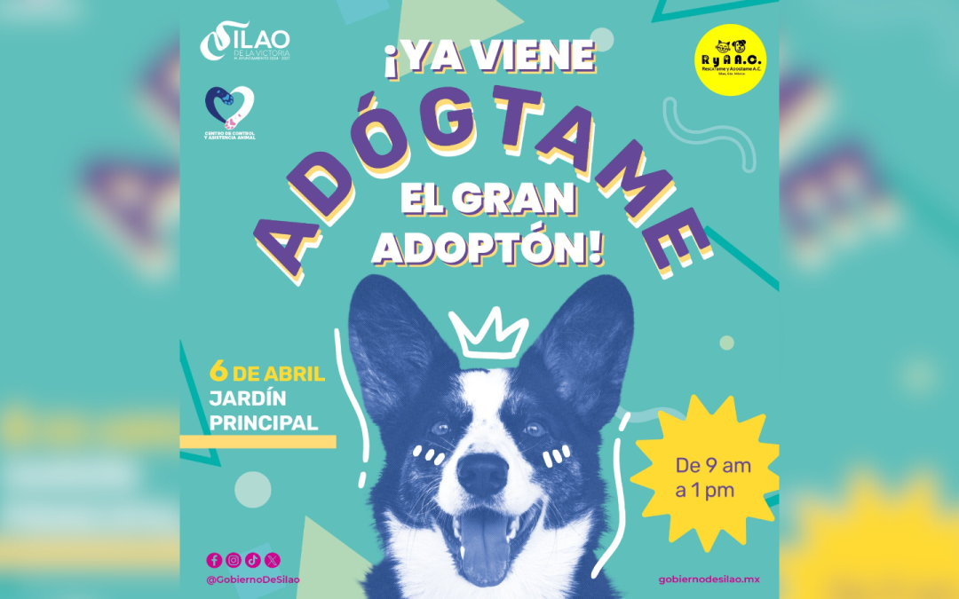 Invitan al Adoptón dominical en el jardín principal de Silao