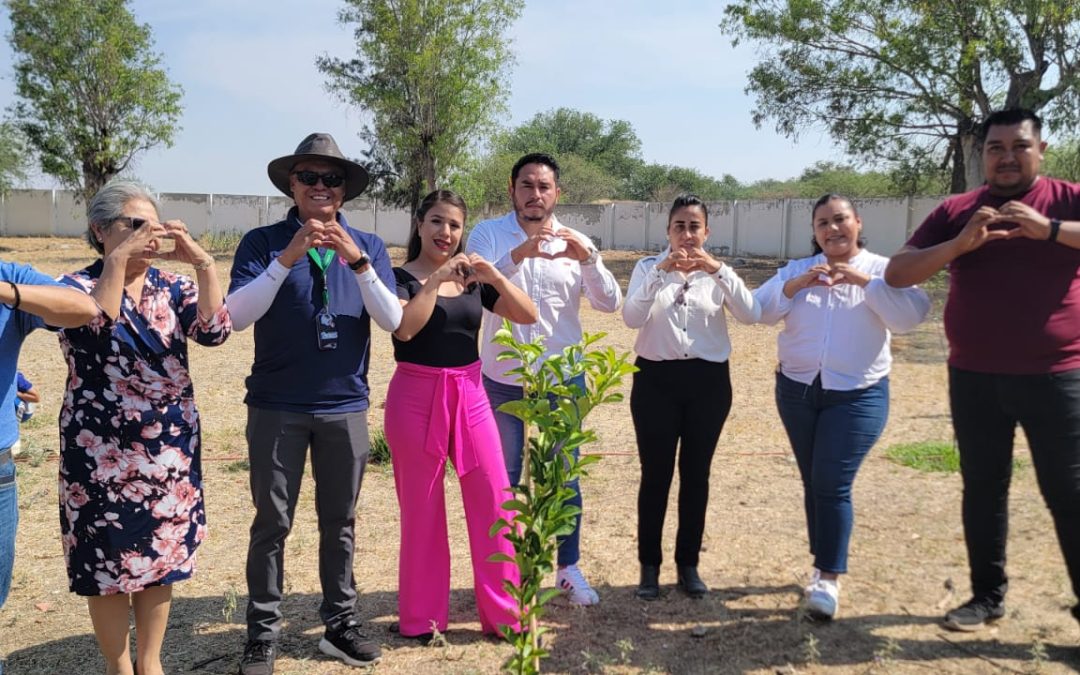 Plantan árboles de lima en escuela de San Dieguillo
