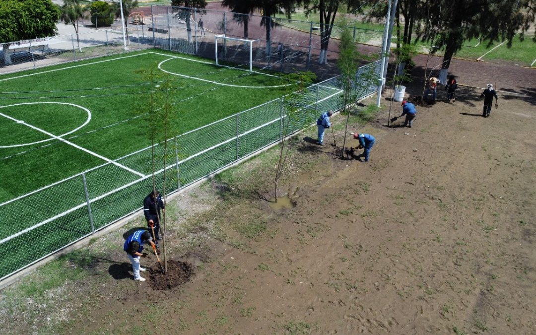 Inicia conmemoración del Día Mundial del Medioambiente con plantación de más de 200 árboles en distintos puntos