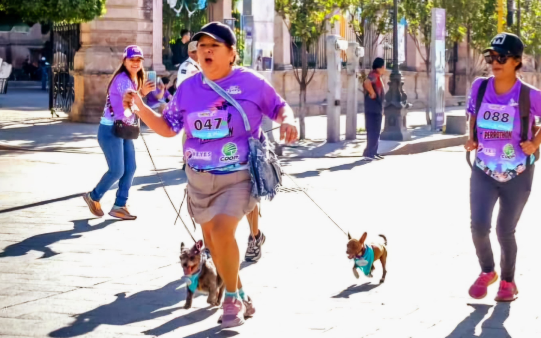 ¡Ya falta poco para celebrar el Perrothón de Silao!