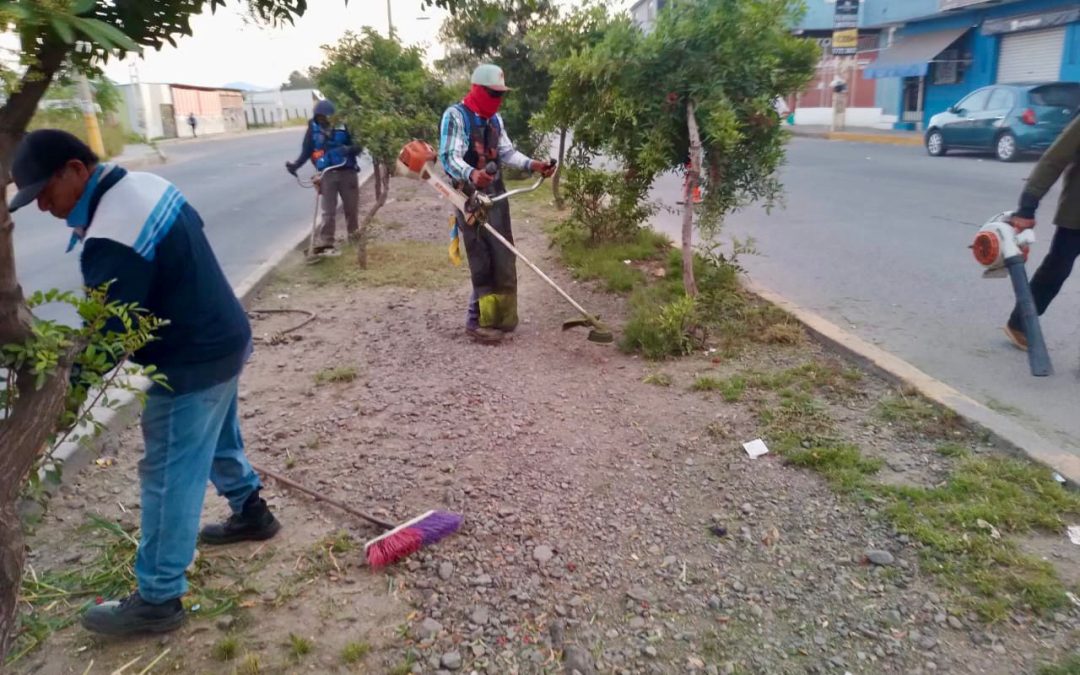 Hacen limpieza en el camellón del bulevar Emiliano Zapata
