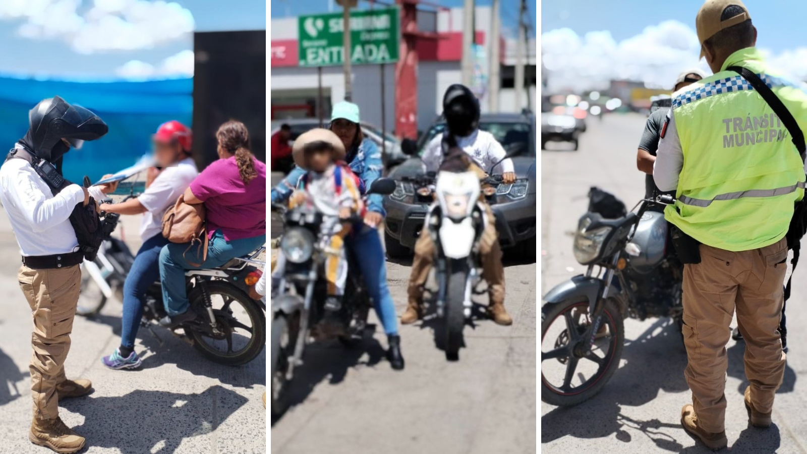 REVISIONES TRÁNSITO WEB