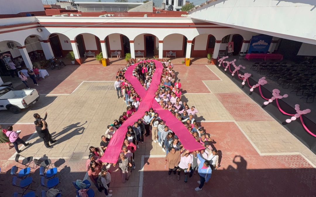 Forman gran moño rosa: símbolo de unión en la lucha contra el cáncer de mama