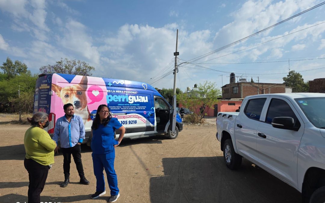 Exhorta Gobierno Municipal a la ciudadanía a respetar a las mascotas