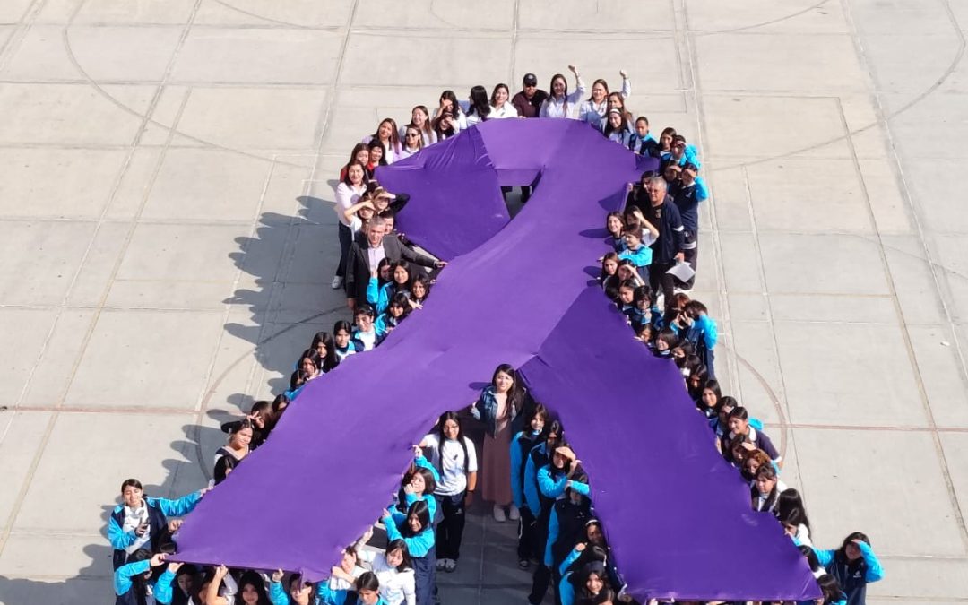 REALIZAN PREVENFEST ROSA