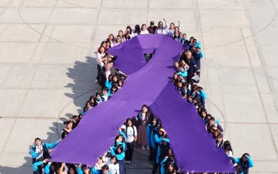 REALIZAN PREVENFEST ROSA