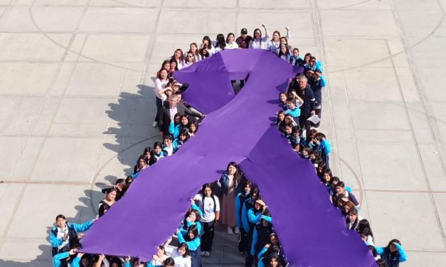 REALIZAN PREVENFEST ROSA